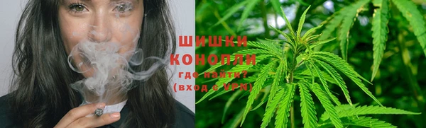 ешки Корсаков