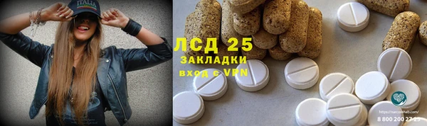 ешки Корсаков
