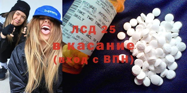 гашик Козловка