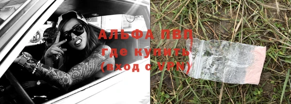ешки Корсаков