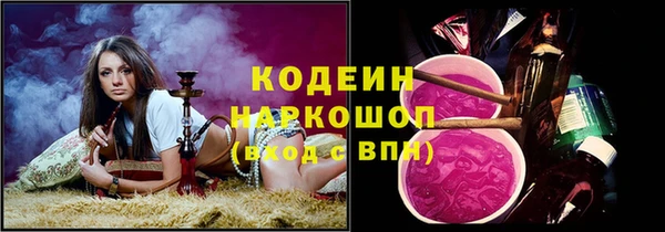 гашик Козловка