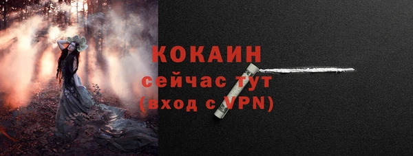 ешки Корсаков